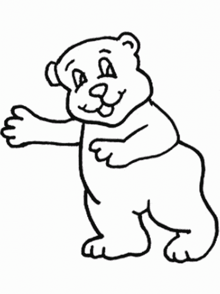 dibujos colorear oso (11).gif