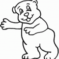 dibujos colorear oso (11)