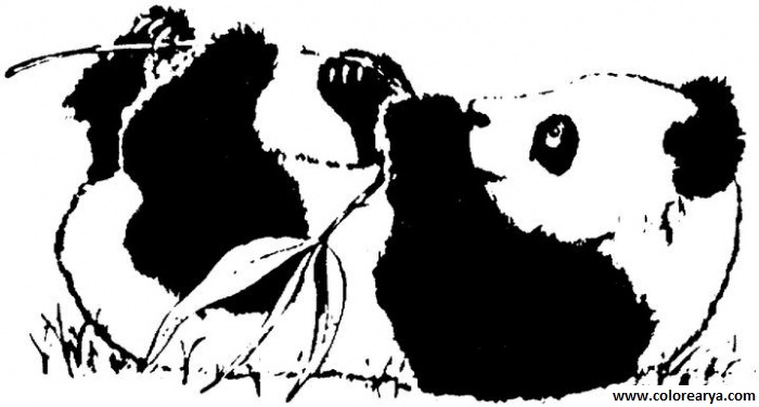 dibujos colorear oso (13).jpg
