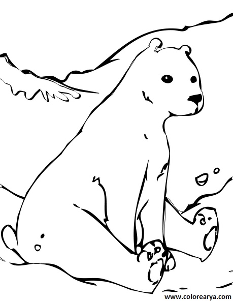 dibujos colorear oso (15).jpg