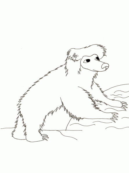 dibujos colorear oso (16).gif