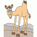 colorear camello (1)