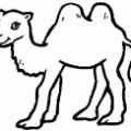 colorear camello (3)