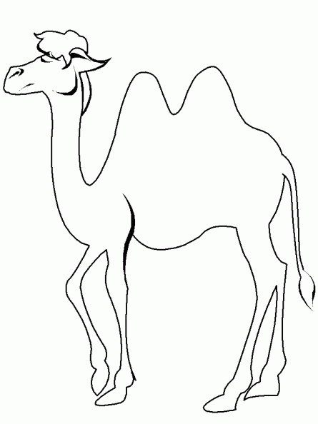 colorear camello (4).gif