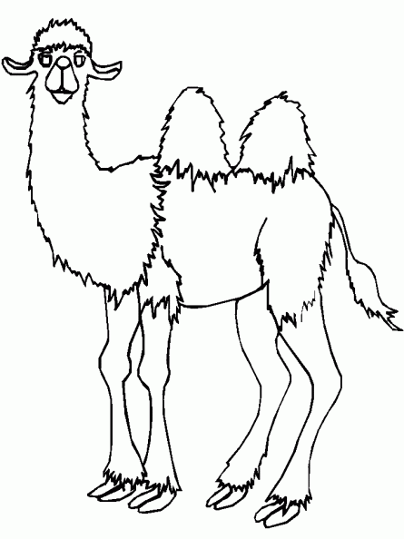 colorear camello (5).gif