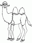 colorear camello (5)
