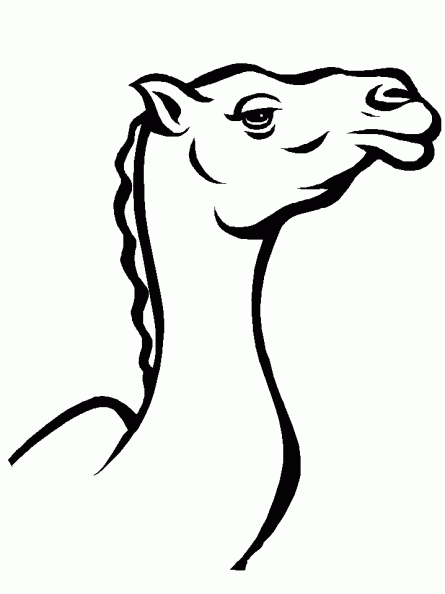 colorear camello (9).gif