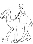 colorear camello (10)