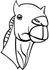 colorear camello (13)