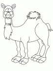 colorear camello (15)