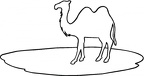 colorear camello (20)
