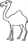 colorear camello (24)