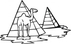 colorear camello (27)