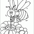dibujos colorear abeja (5)