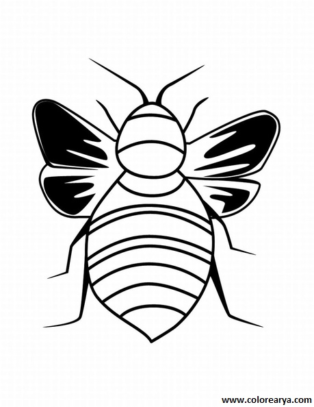 dibujos colorear abeja (5).jpg
