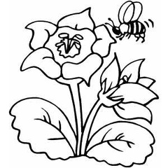 dibujos colorear abeja (7)