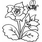 dibujos colorear abeja (7)