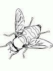 dibujos colorear abeja (12)