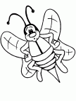 dibujos colorear abeja (15)