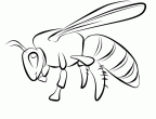 dibujos colorear abeja (55)