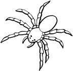 imagenes pintar araña (8)