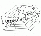 imagenes pintar araña (9)