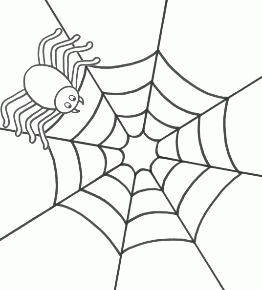 Imagenes animales araña para colorear - Imagui