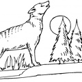 dibujos colorear lobo (5)