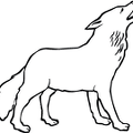 dibujos colorear lobo (6)