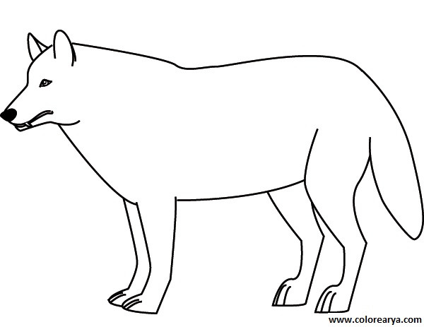 dibujos colorear lobo (9)