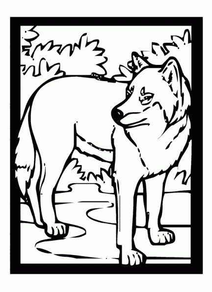 dibujos colorear lobo (15).gif