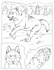 dibujos colorear lobo (16)
