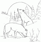 dibujos colorear lobo (22)