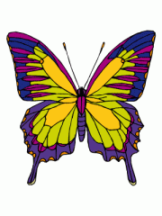 dibujos pintar mariposa (1)