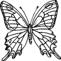 dibujos pintar mariposa (3)