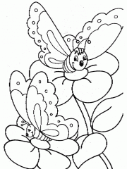 dibujos pintar mariposa (4)