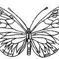 dibujos pintar mariposa (4)