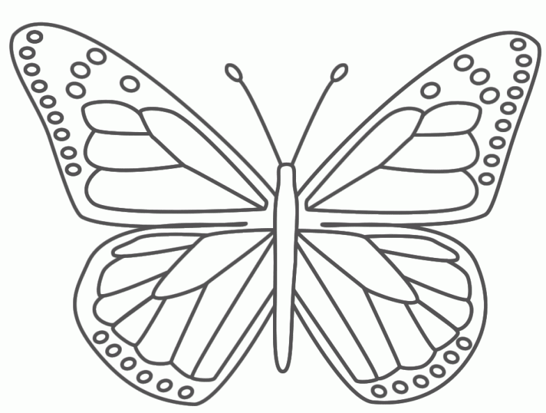 dibujos pintar mariposa (122).gif