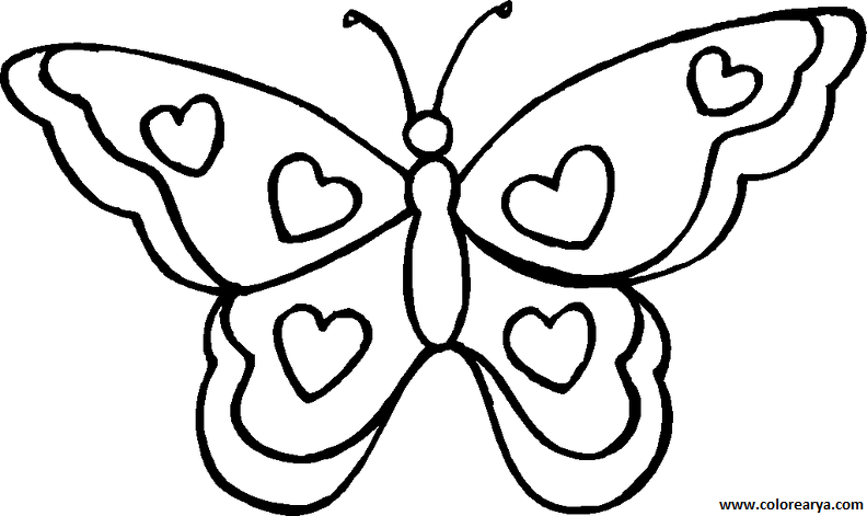 dibujos pintar mariposa (2000).png
