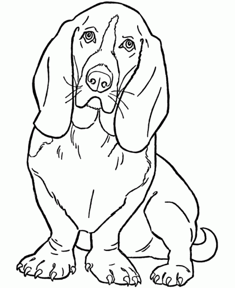 dibujos colorear perro (6).gif