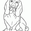 dibujos colorear perro (6)