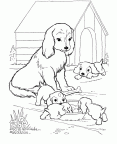 dibujos colorear perro (12)