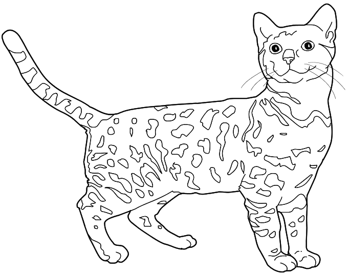 dibujos pintar gato (3).gif