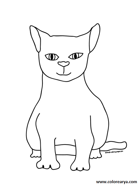dibujos pintar gato (6)