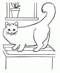 dibujos pintar gato (1000)