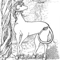 dibujos para pintar unicorneo (3)