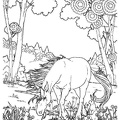 dibujos para pintar unicorneo (4)