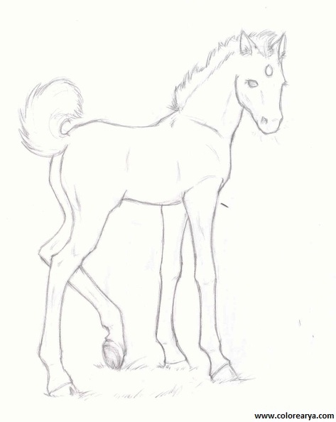 dibujos para pintar unicorneo (5).jpg