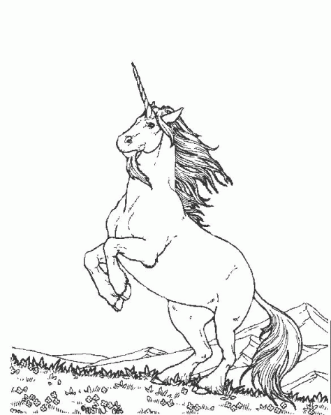 dibujos para pintar unicorneo (9).gif