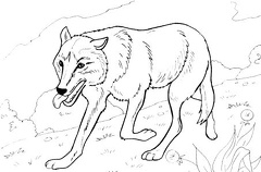 colorear zorro (55)